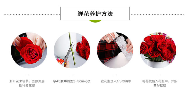 ��������- 9֧����õ�壬����Ҷ����