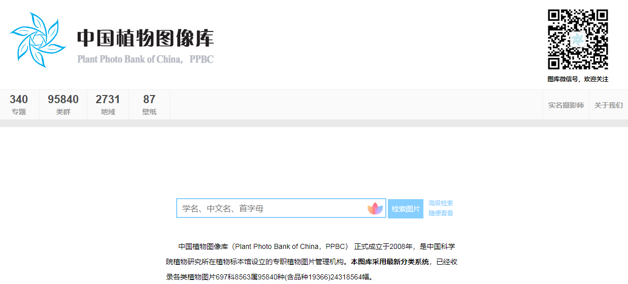 中国植物志官网入口